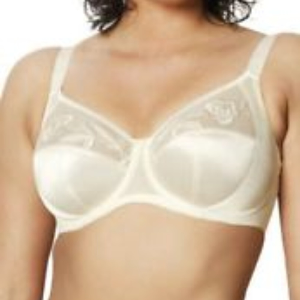 NWT Goddess 9010 Sheer Expressions Underwire Bra Nude